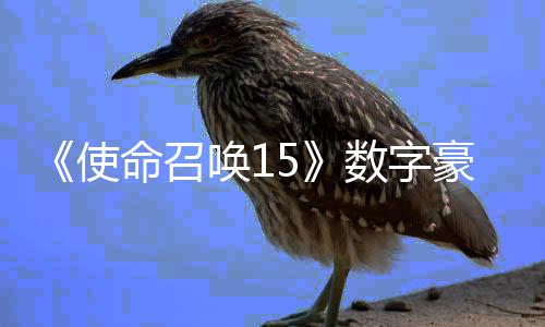 命召版上元加强架X价9唤1豪华使数字商城 售