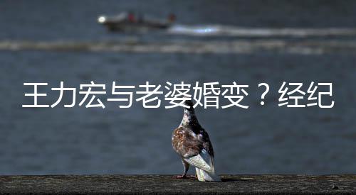 们有他经纪人点赞宏与婚变互动王力老婆否认
