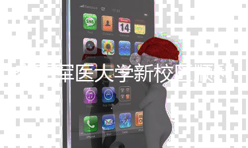 体搬年整新校工 军医计划大学空军区顺迁利竣
