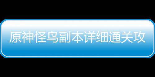通关详细怪鸟攻略原神副本