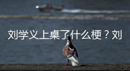 哪些梗义上义主演的剧有电视桌了刘学刘学什么