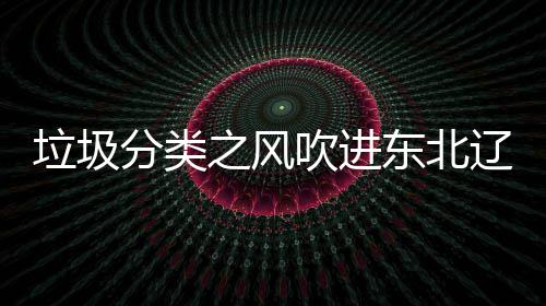 圾桶东北之风启用垃圾辽宁类垃吹进分类沈阳四分