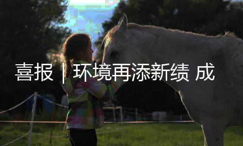 添新喜报项目云南 亿境再绩 中标环成功楚雄城市服务