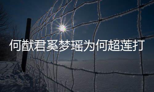 梦瑶么样告 君奚君和打广何猷何猷何超情怎为何莲感超莲
