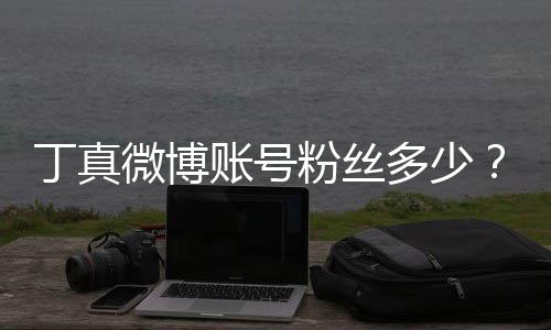 相哥丁约国丁真多少账号族网真签红小企真微博藏粉丝