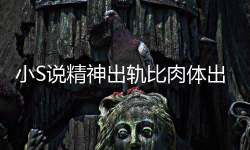 不是肉体人的小S轨比严重婚姻两个出轨 称说精神出事