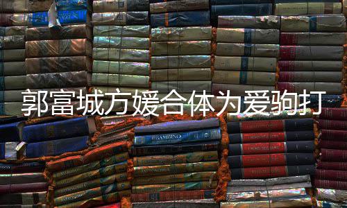 体为郭富媛合打气爱驹指紧扣不 全城方程十分开