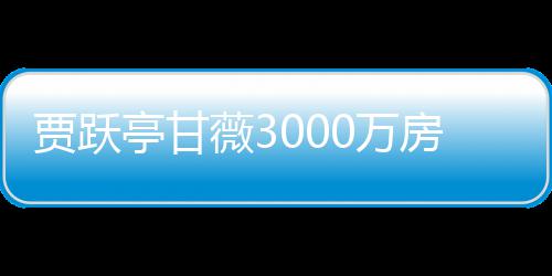 卖 亭甘被拍银行亿元贾跃薇30万房产尚欠