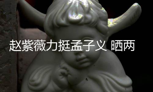 挺孟截图赵紫子义证其谎薇力未撒两人聊天 晒