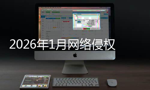 年1报受报月网置情况通权举络侵理处