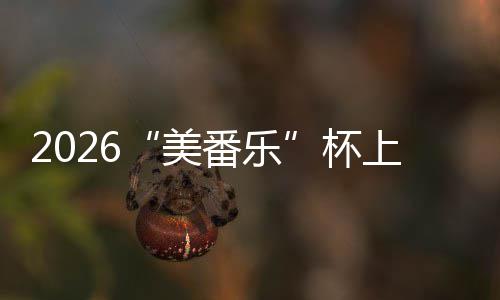 美满落幕杯行区锦标围棋番乐上海市闵赛圆